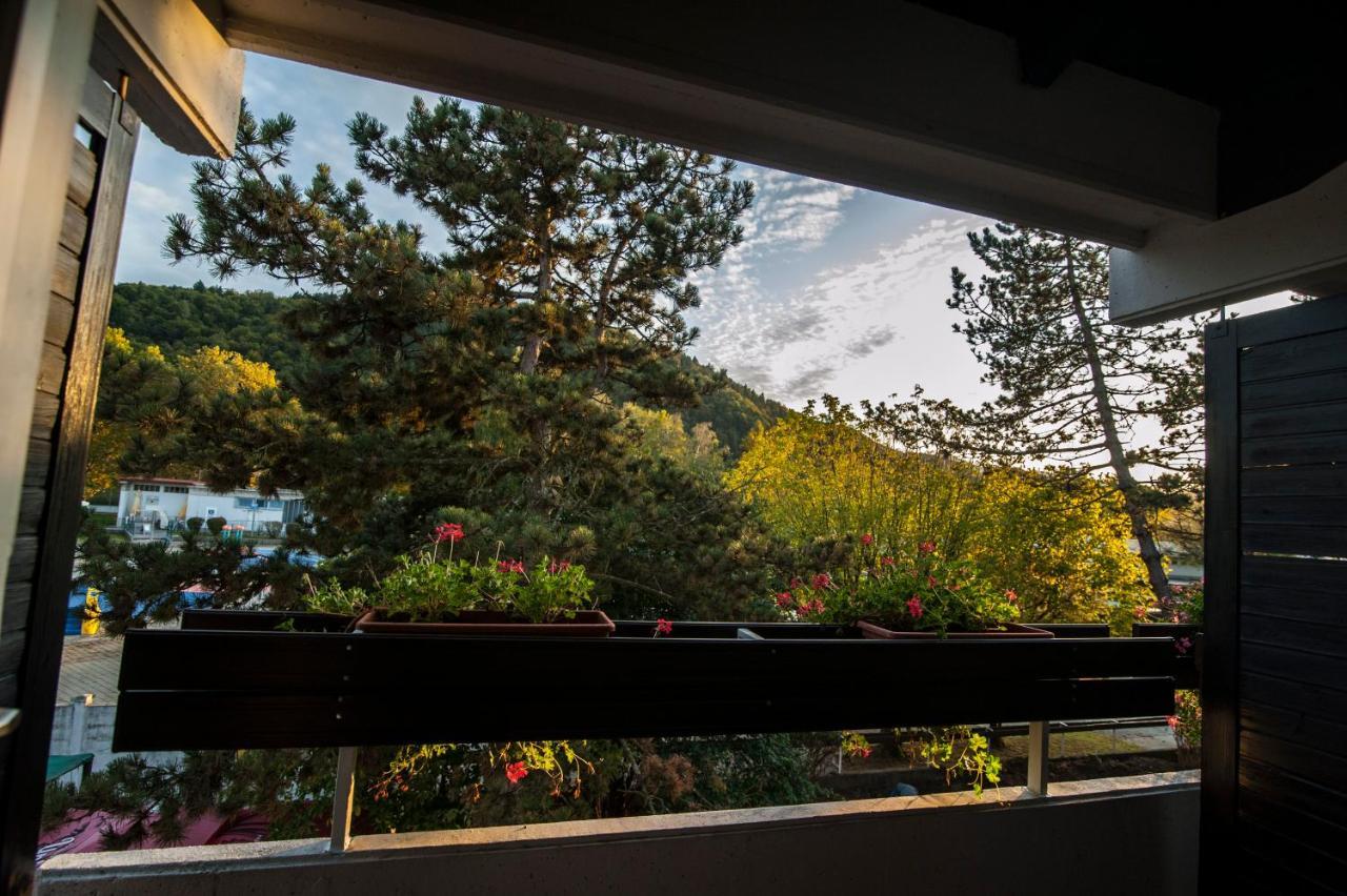 Hotel Faraon Celje Bagian luar foto